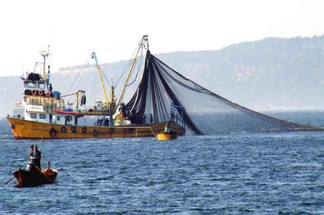 Balıkçılık